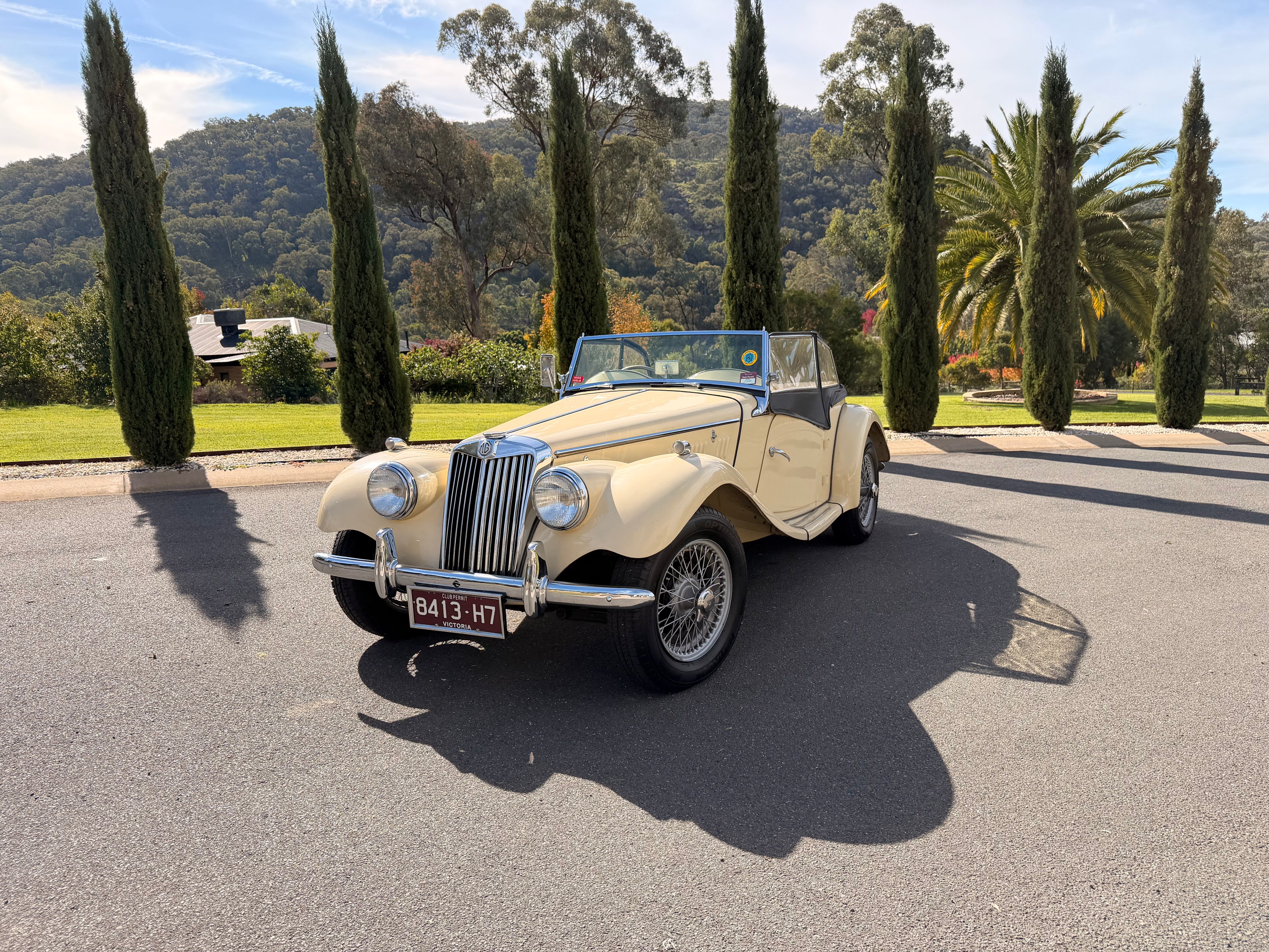 1954 MG TF