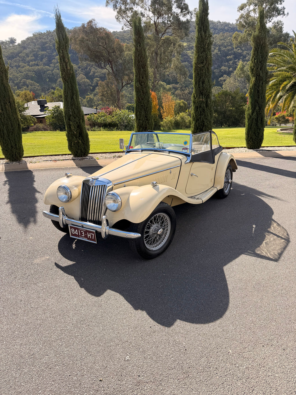 1954 MG TF